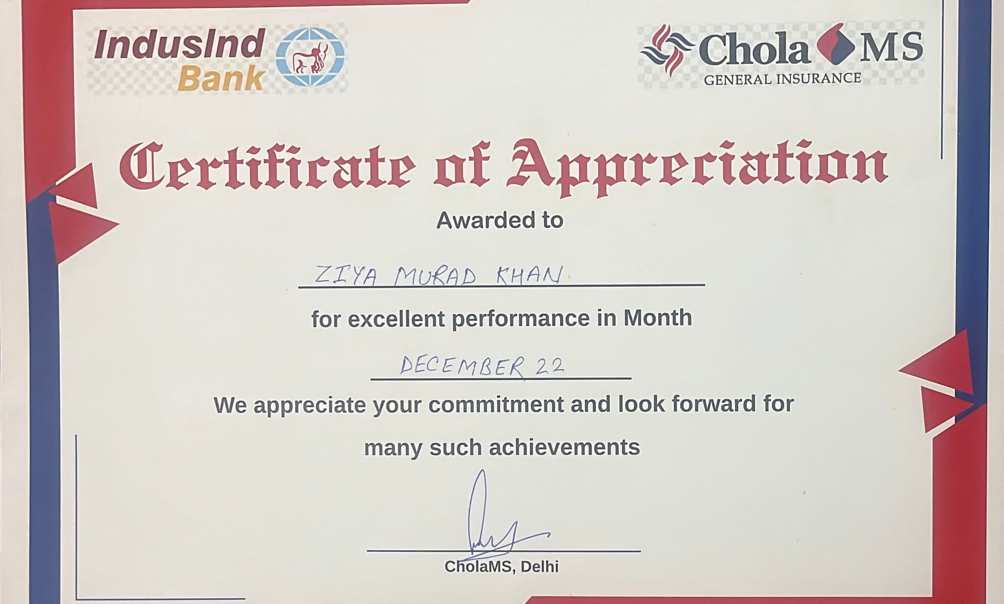 Professional Certificate